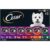 CESAR Adult Wet Dog Food Classic Loaf in Sauce Grilled Chicken, Filet Mignon, Porterhouse Steak, Beef, Chicken & Liver and Turkey Variety Pack, 3.5 oz. Easy Peel Trays, Pack of 36