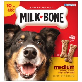 Milk-Bone Original Dog Treats Biscuits for Medium Dogs, 10 Pound